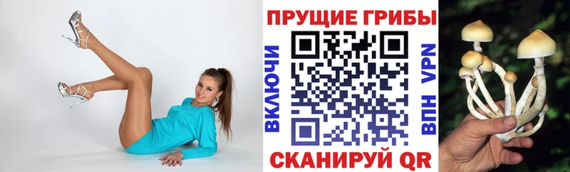 Галлюциногенные грибы Magic Shrooms  как найти закладки  Краснозаводск 