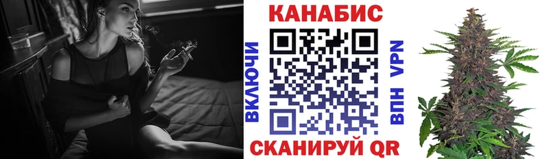 Конопля сатива Краснозаводск
